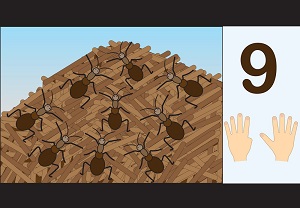 okul öncesi çocuklar için sayıları tanıyalım çalışma sayfaları